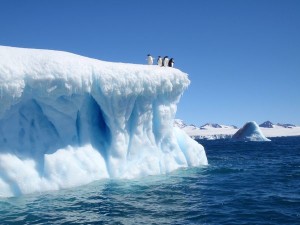 devil-island-iceberg-weddell-sea-adelie-penguins-antarctica_34421_600x450